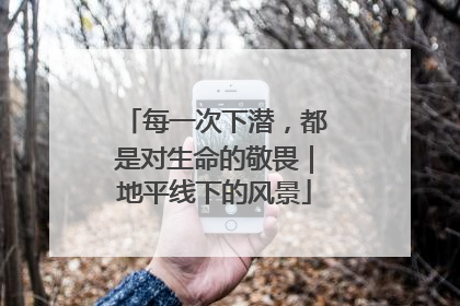 每一次下潜，都是对生命的敬畏｜地平线下的风景