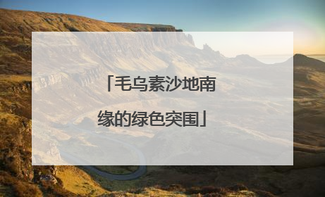 毛乌素沙地南缘的绿色突围