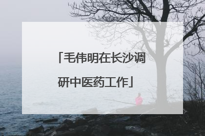 毛伟明在长沙调研中医药工作