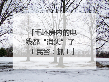 毛坯房内的电线都“消失”了！民警：抓！