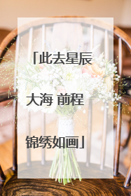 此去星辰大海 前程锦绣如画