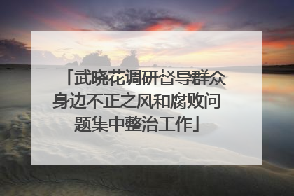 武晓花调研督导群众身边不正之风和腐败问题集中整治工作