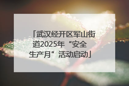 武汉经开区军山街道2025年“安全生产月”活动启动