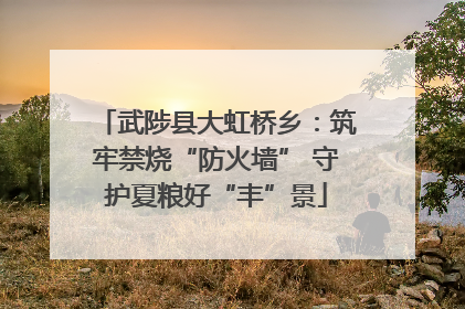 武陟县大虹桥乡：筑牢禁烧“防火墙” 守护夏粮好“丰”景