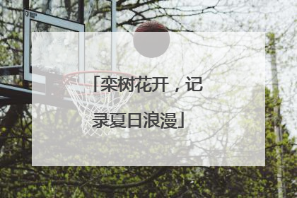 栾树花开，记录夏日浪漫