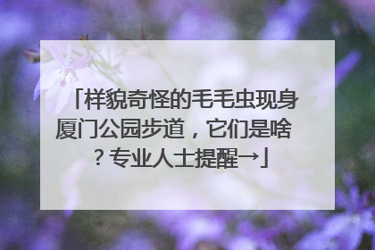 样貌奇怪的毛毛虫现身厦门公园步道，它们是啥？专业人士提醒→