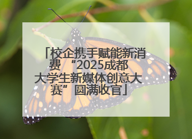 校企携手赋能新消费 “2025成都大学生新媒体创意大赛”圆满收官