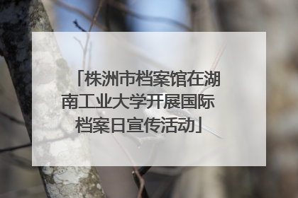 株洲市档案馆在湖南工业大学开展国际档案日宣传活动