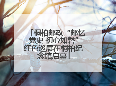 桐柏邮政“邮忆党史 初心如磐”红色巡展在桐柏纪念馆启幕