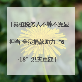 桑植税务人不等不靠显担当 全员捐款助力“6·18”洪灾重建