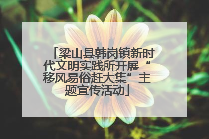 梁山县韩岗镇新时代文明实践所开展“移风易俗赶大集”主题宣传活动