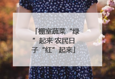 棚室蔬菜“绿”起来 农民日子“红”起来