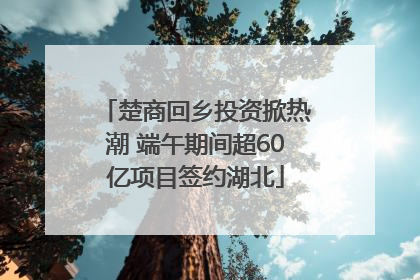 楚商回乡投资掀热潮 端午期间超60亿项目签约湖北