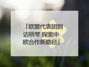 欧盟代表团到访横琴 探索中欧合作新路径