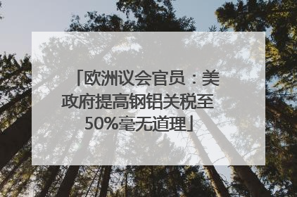 欧洲议会官员：美政府提高钢铝关税至50%毫无道理
