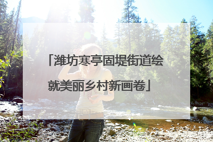 潍坊寒亭固堤街道绘就美丽乡村新画卷