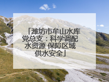 潍坊市牟山水库党总支：科学调配水资源 保障区域供水安全