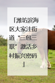 潍坊滨海区大家洼街道“三包三联”激活乡村振兴密码