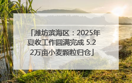 潍坊滨海区：2025年夏收工作圆满完成 5.22万亩小麦颗粒归仓