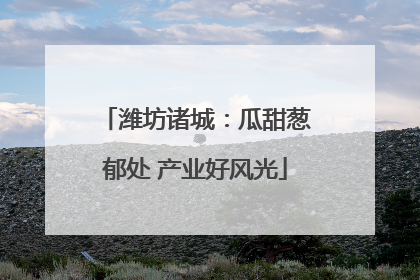 潍坊诸城：瓜甜葱郁处 产业好风光