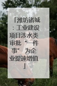 潍坊诸城：工业建设项目涉水类审批“一件事” 为企业提速增值