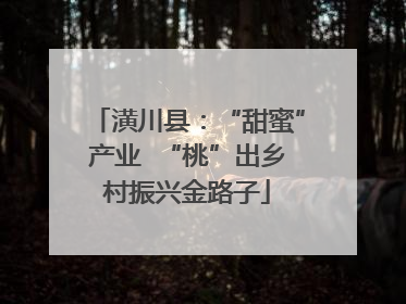 潢川县：“甜蜜”产业  “桃”出乡村振兴金路子