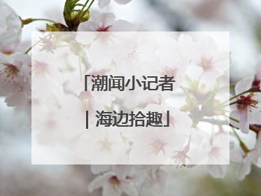 潮闻小记者｜海边拾趣