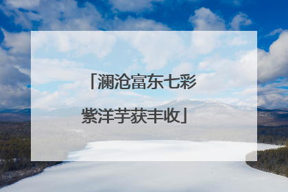 澜沧富东七彩紫洋芋获丰收