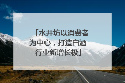 水井坊以消费者为中心，打造白酒行业新增长极