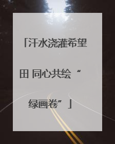 汗水浇灌希望田 同心共绘“绿画卷”