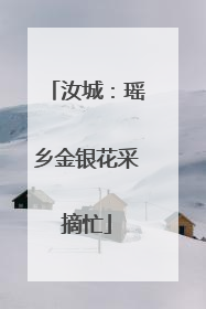 汝城：瑶乡金银花采摘忙