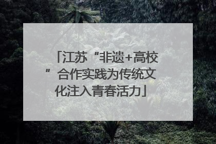 江苏“非遗+高校”合作实践为传统文化注入青春活力