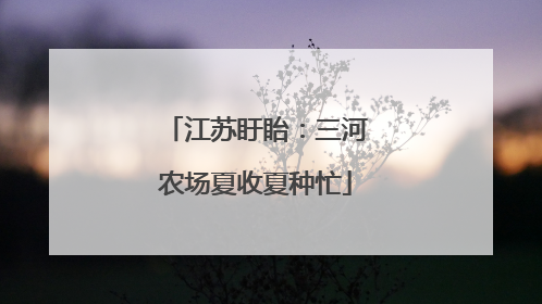 江苏盱眙：三河农场夏收夏种忙