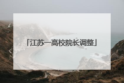 江苏一高校院长调整