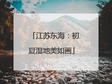 江苏东海：初夏湿地美如画