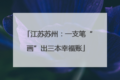江苏苏州：一支笔“画”出三本幸福账