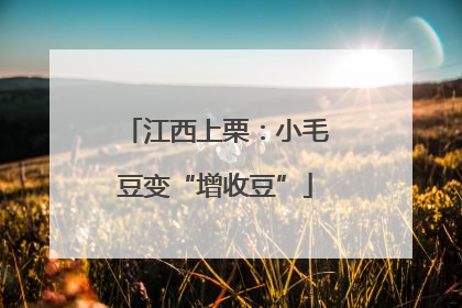 江西上栗：小毛豆变“增收豆”