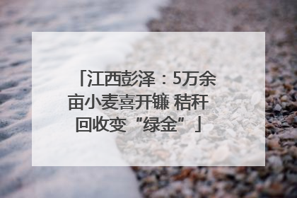 江西彭泽：5万余亩小麦喜开镰 秸秆回收变“绿金”