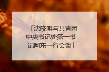 沈晓明与共青团中央书记处第一书记阿东一行会谈