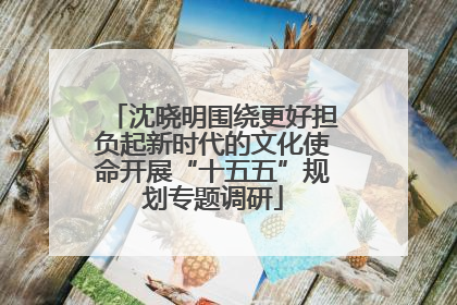 沈晓明围绕更好担负起新时代的文化使命开展“十五五”规划专题调研
