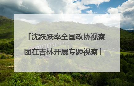 沈跃跃率全国政协视察团在吉林开展专题视察