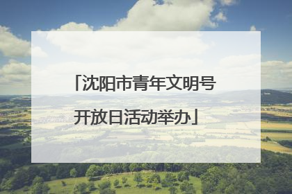 沈阳市青年文明号开放日活动举办