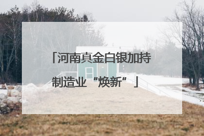 河南真金白银加持制造业“焕新”