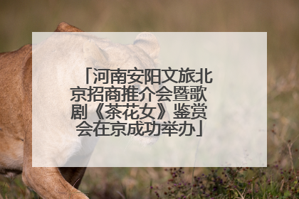 河南安阳文旅北京招商推介会暨歌剧《茶花女》鉴赏会在京成功举办