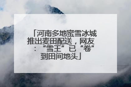 河南多地蜜雪冰城推出麦田配送，网友：“雪王”已“卷”到田间地头