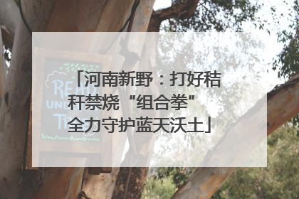 河南新野：打好秸秆禁烧“组合拳” 全力守护蓝天沃土