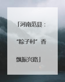 河南范县：“粽子村”香飘振兴路