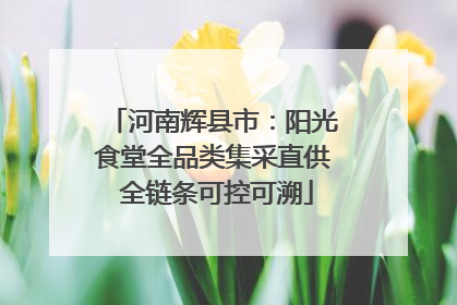 河南辉县市：阳光食堂全品类集采直供 全链条可控可溯
