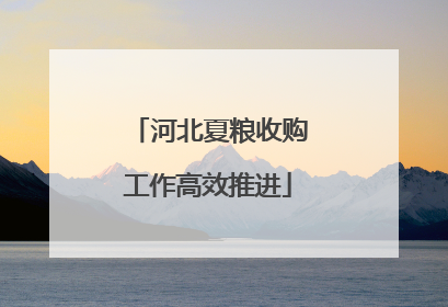 河北夏粮收购工作高效推进