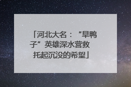 河北大名：“旱鸭子”英雄深水营救 托起沉没的希望